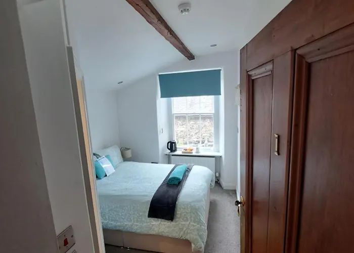 Ubytování v soukromí Birch Tree House