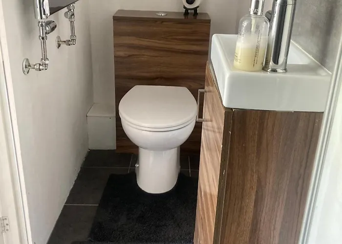 Birch Tree House Windermere