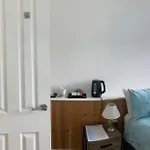 Birch Tree House Windermere